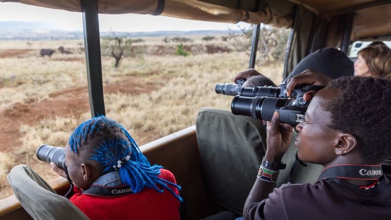 Three young people, photographed from the back. They are sat in a vehicle and each is holding a Canon camera with branded straps around their necks, pointing it in the same direction outside of the vehicle. Outside the vehicle is parched yellow grass, some dusty ground and a couple of indeterminate animals in the distance.