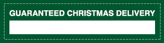 Guaranteed Christmas Delivery!