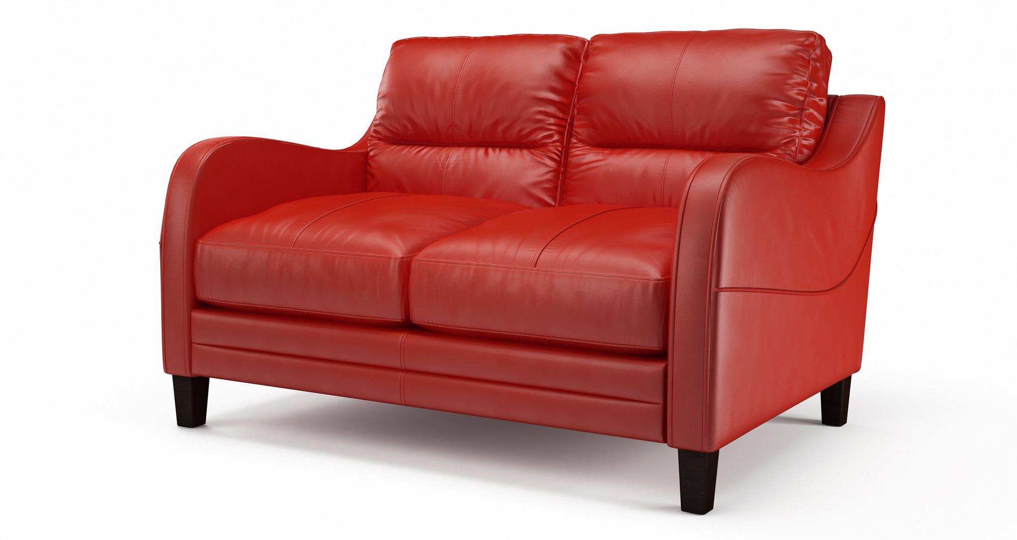 natural leather sofa care