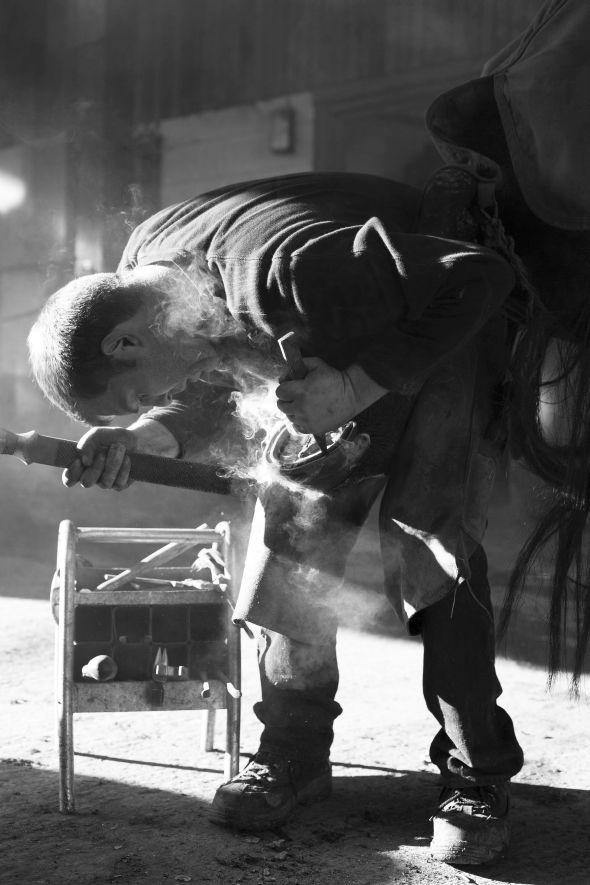 Farrier Tom a work in late winter sun