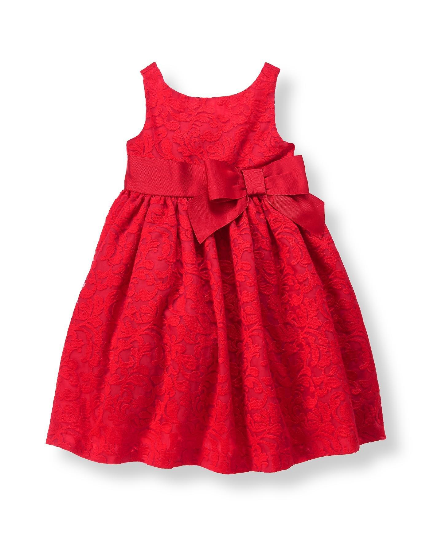 Rose Embroidered Dress at JanieandJack