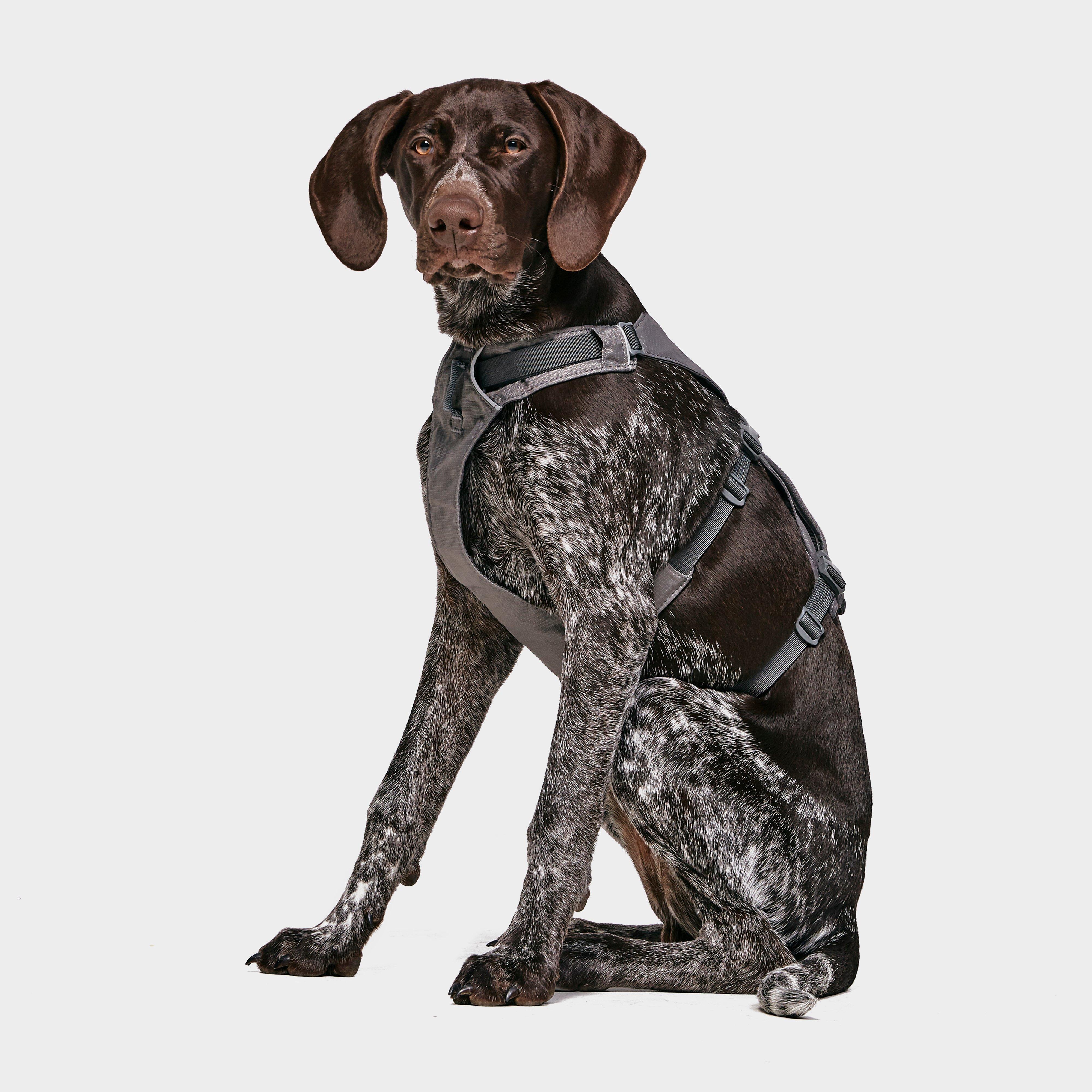 Image of Ruffwear Flagline Dog Harness, Grey