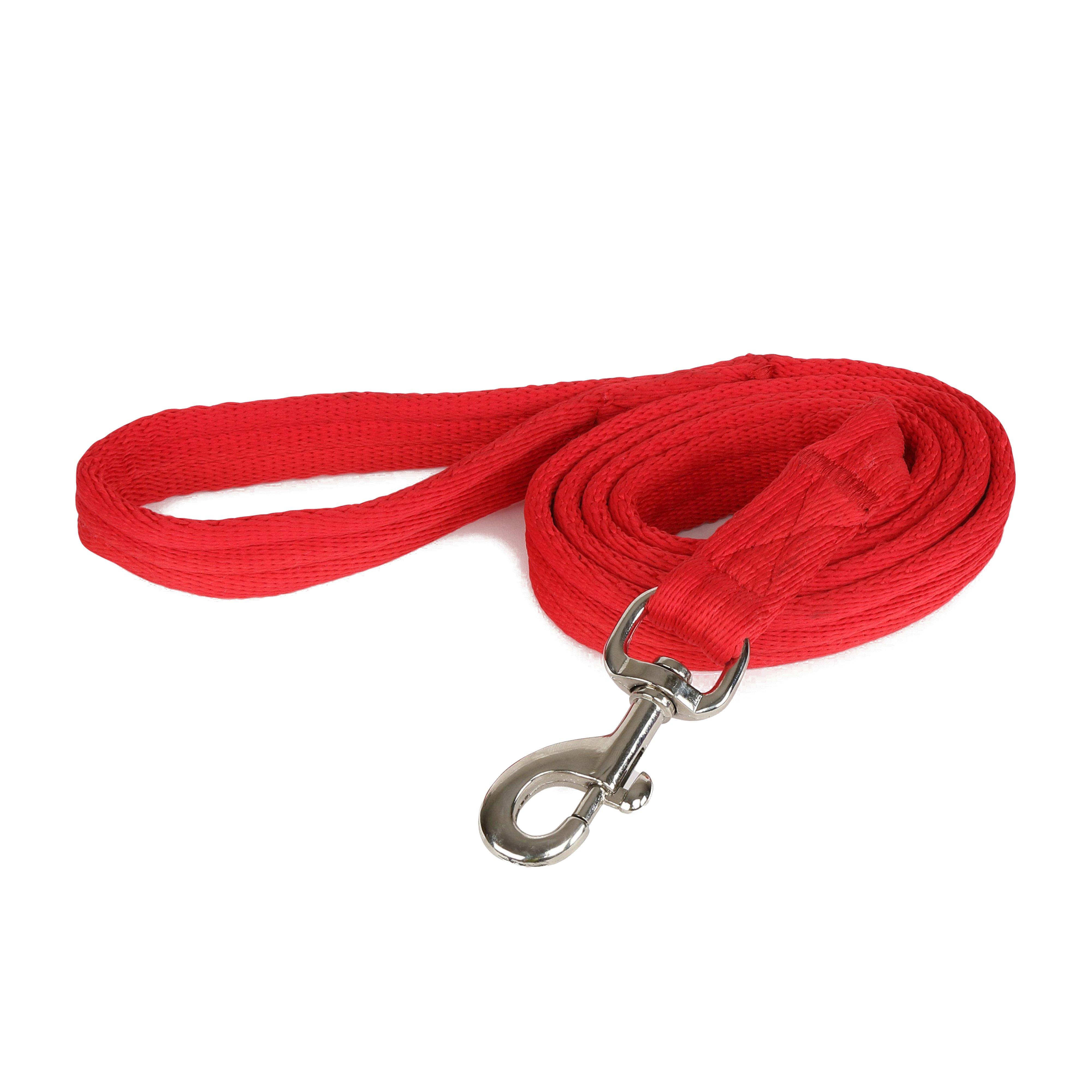 Cushioned Web Lead Rein Red
