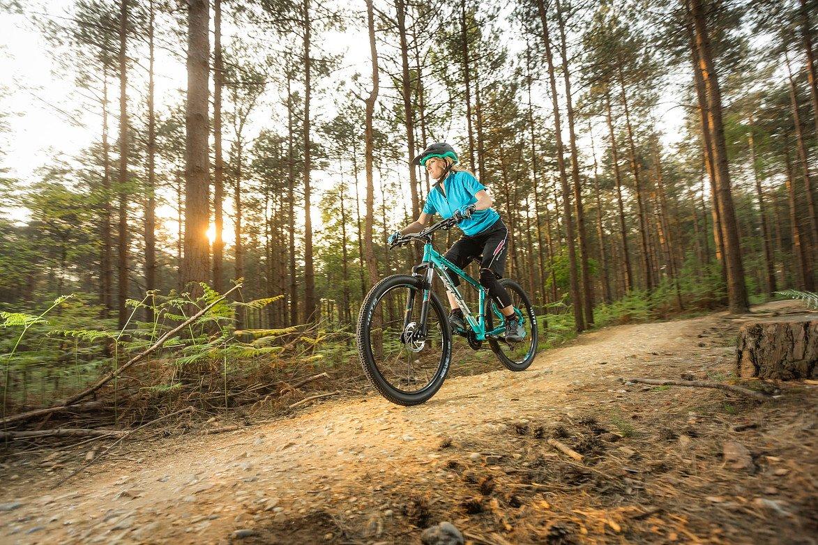 whyte 604 compact