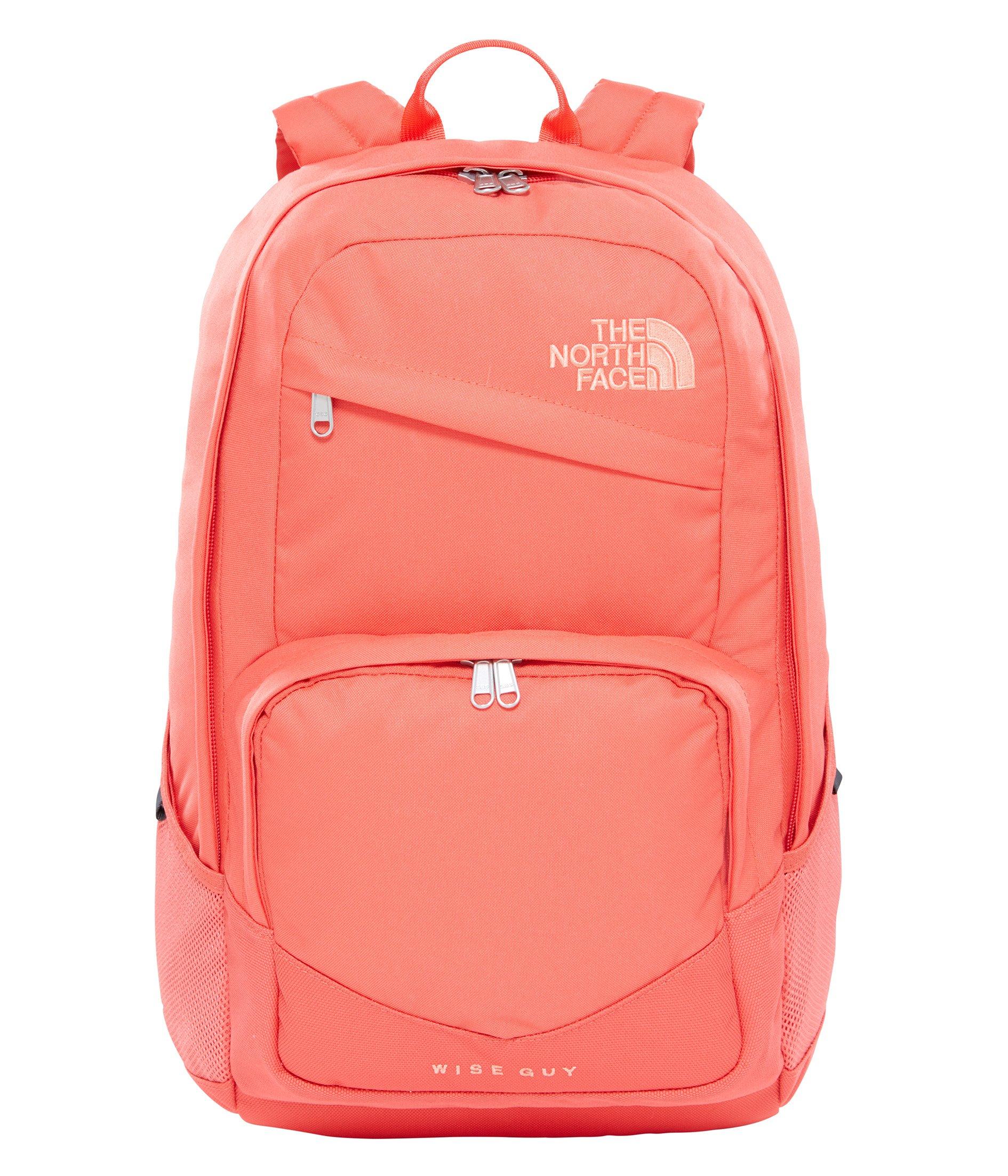 The north face store wise guy backpack