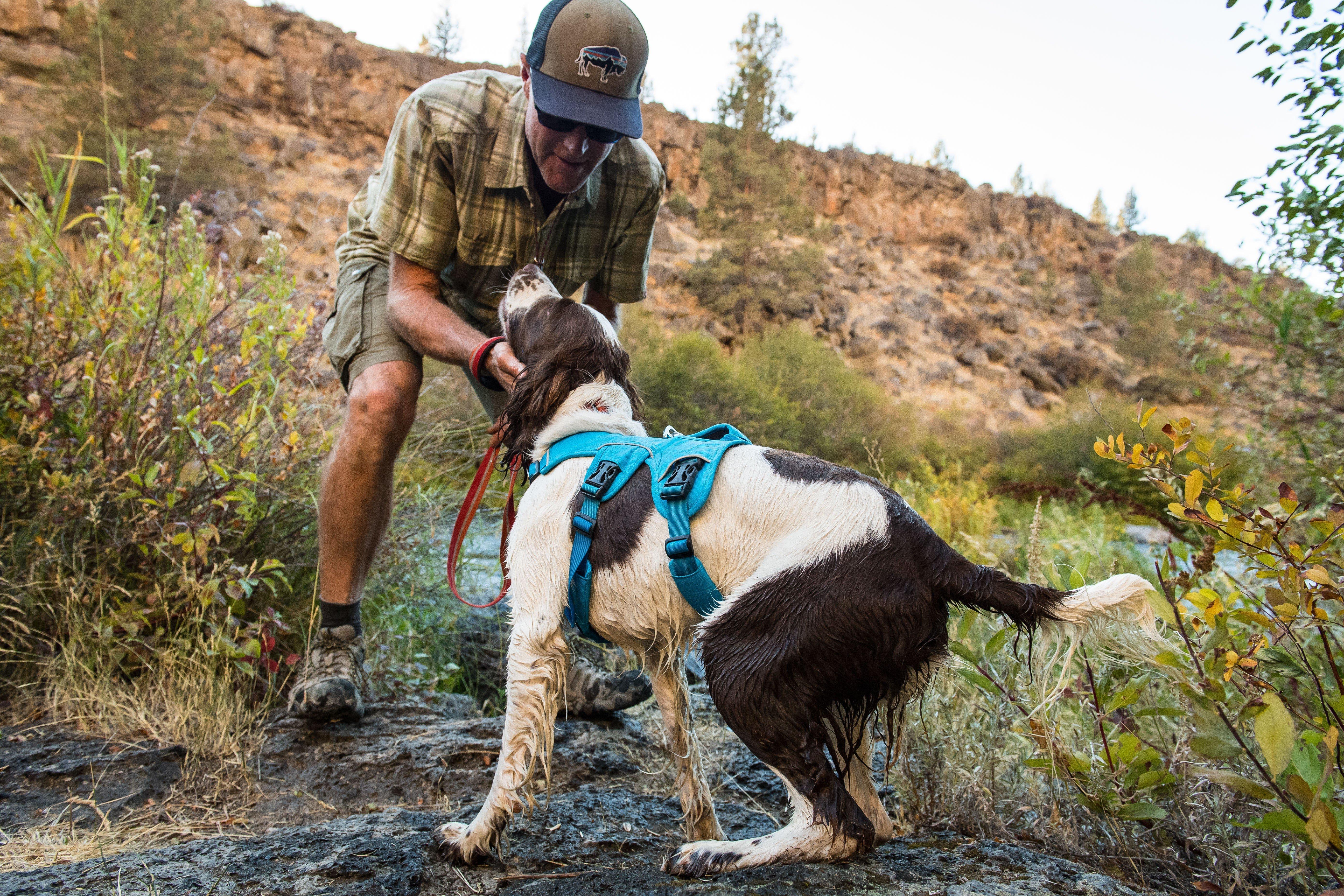 Ruffwear Web Master Harness