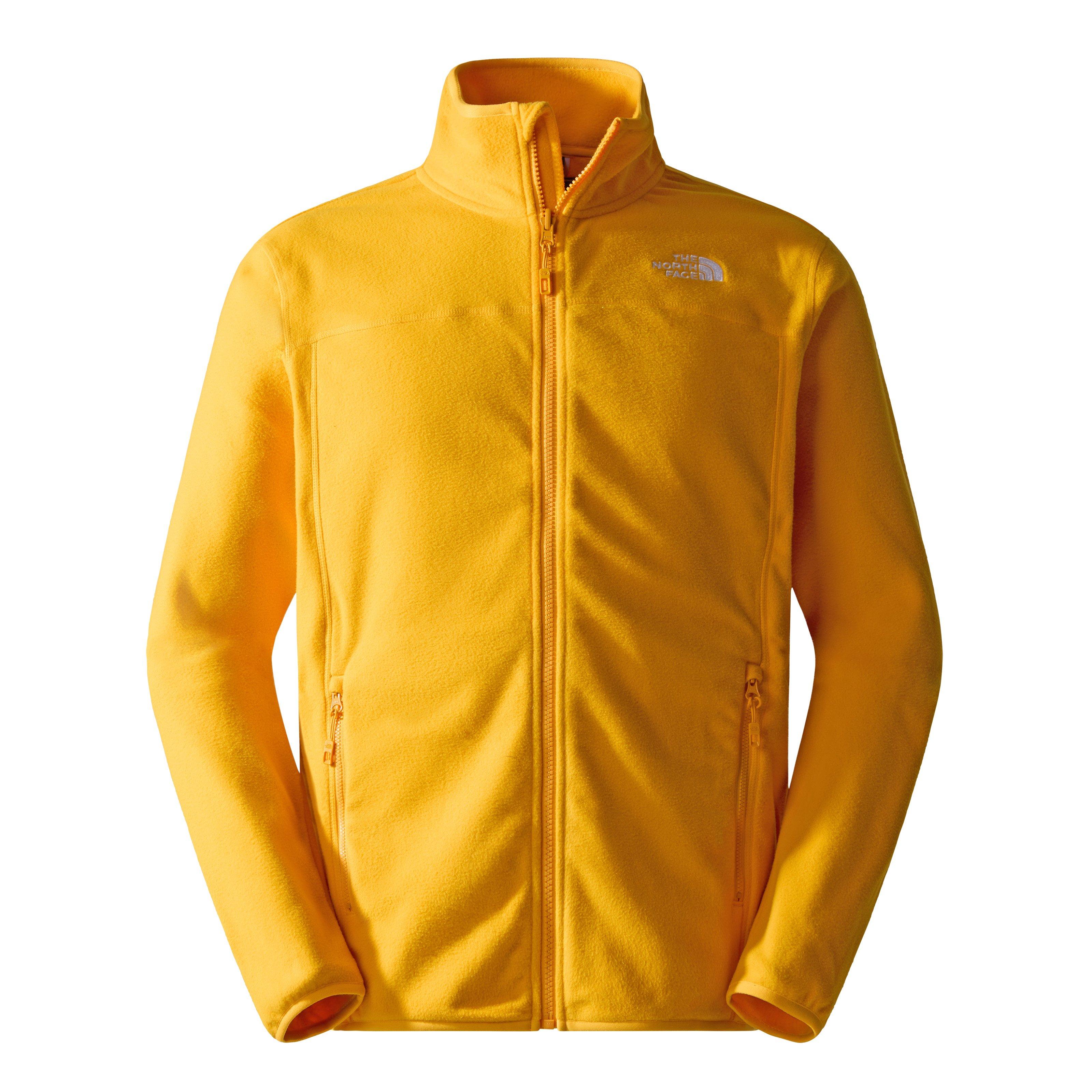 Men's 100 glacier on sale full zip fleece