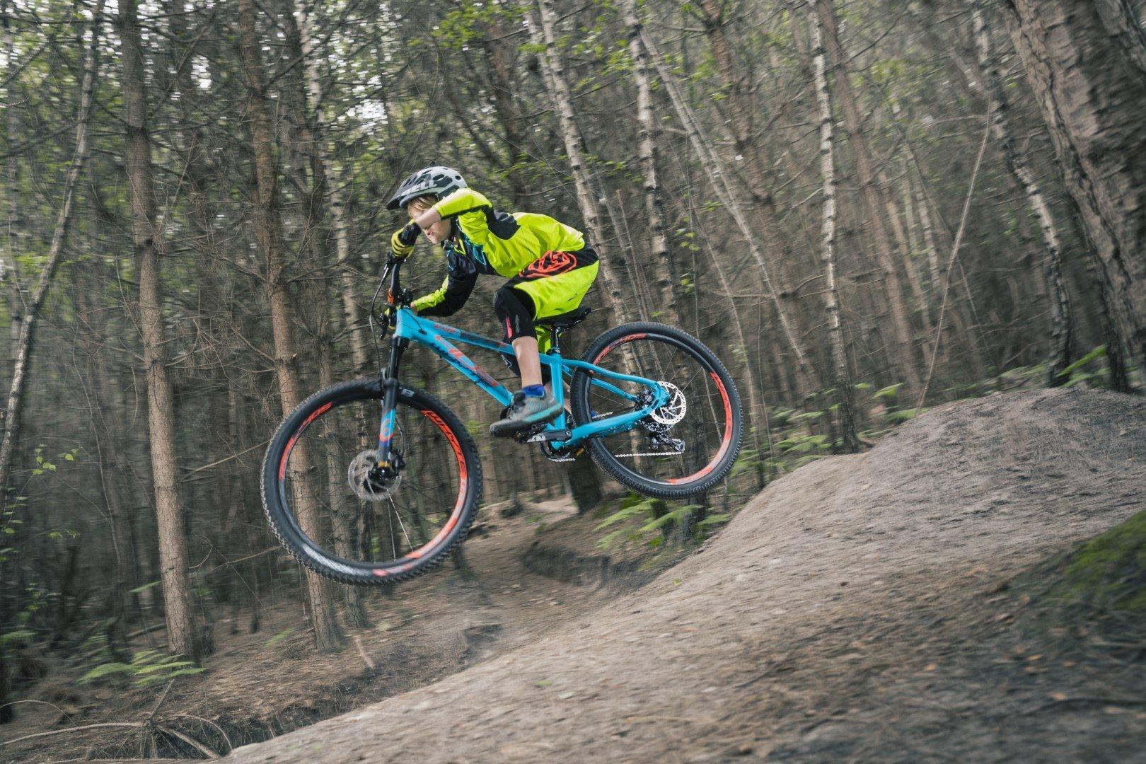 Whyte 403 online bike