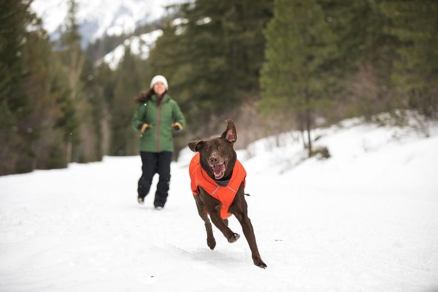 Ruffwear Quinzee Insulated Dog Jacket Red