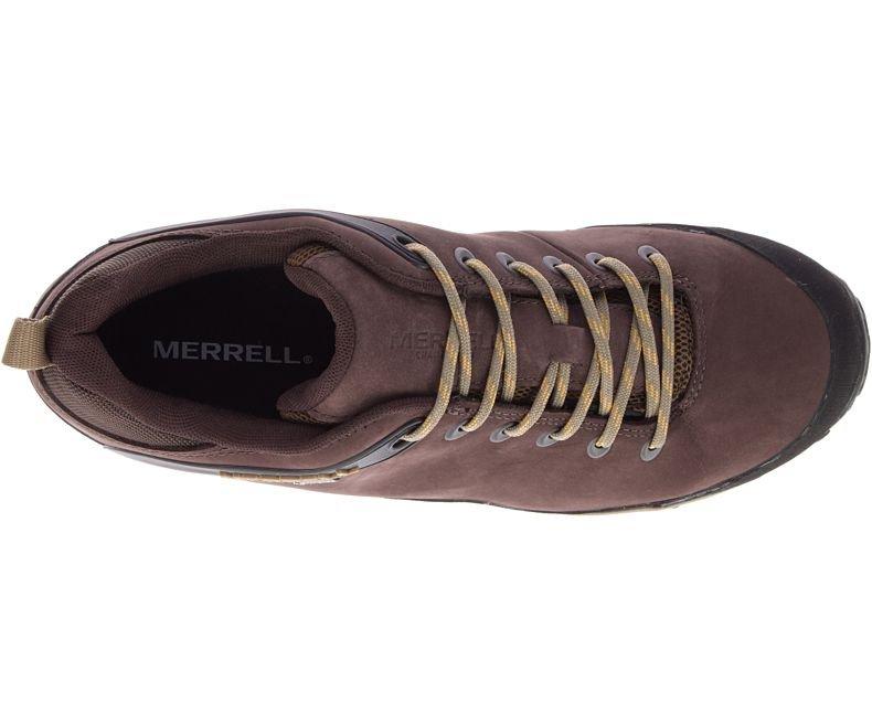 Men's Merrell Cham Low Leather Gore-Tex Approach Shoe Walking Shoes  Tiso