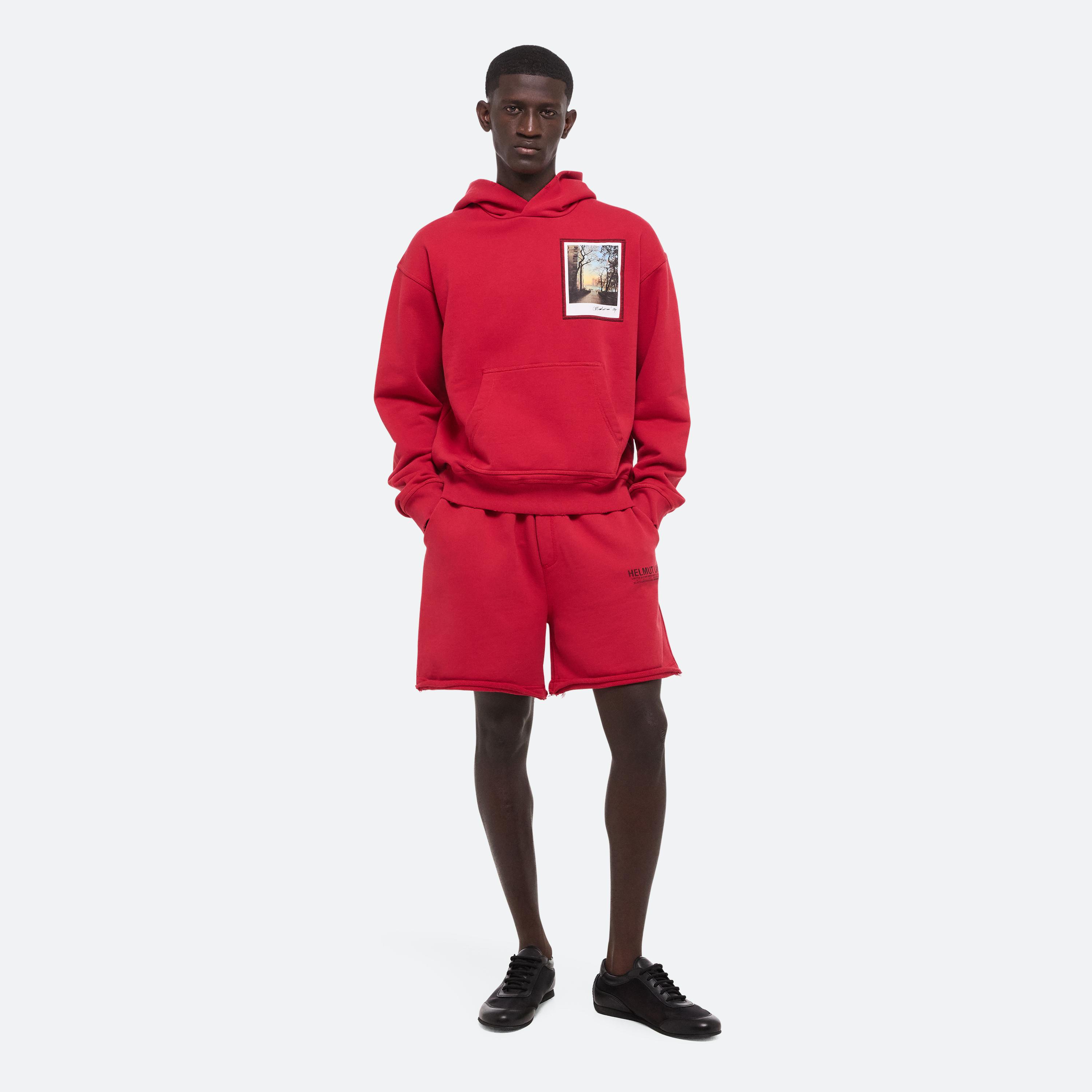 Helmut Lang Red River Postcard Hoodie In Bordeaux