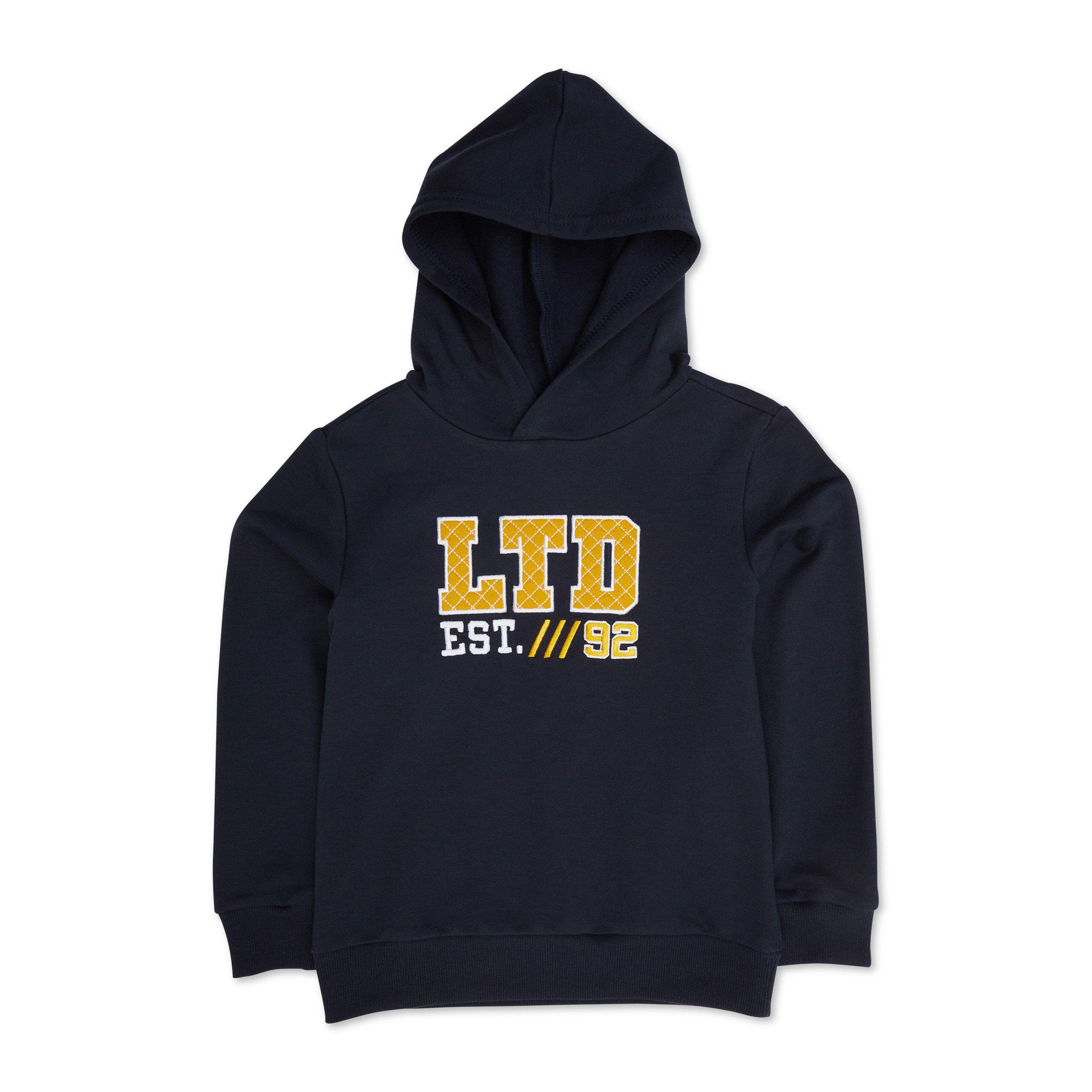 Kid Boy Branded Hoodie (3093613) LTD Kids