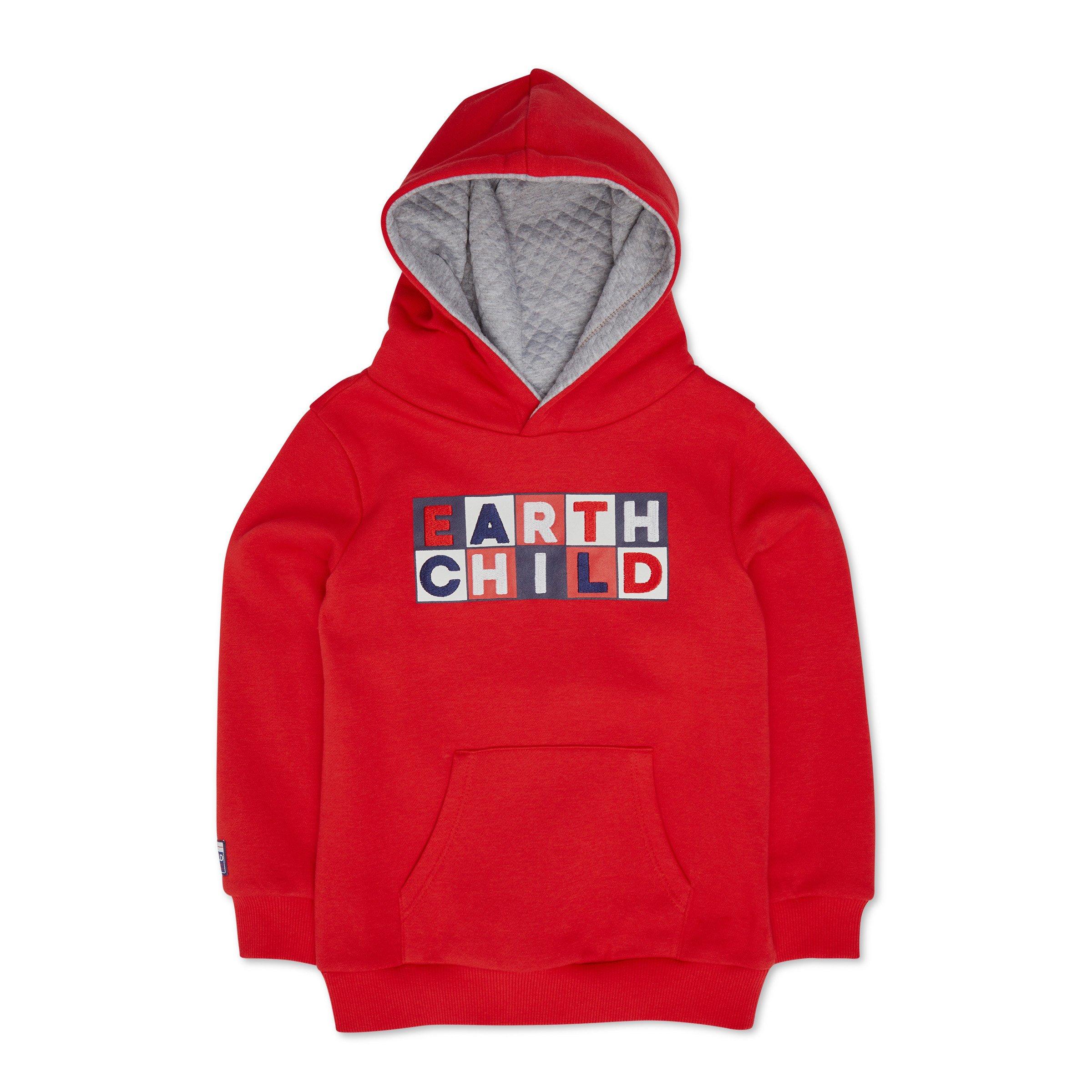 Kid Boy Branded Hoodie (3098902) Earthchild