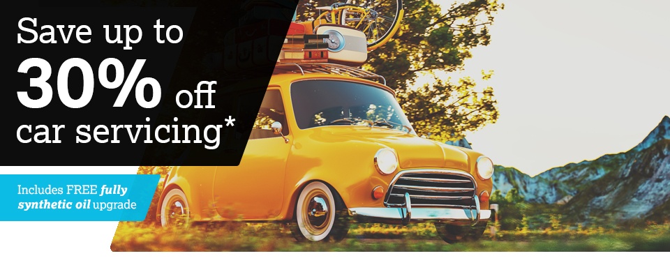 30% Off Servicing - 2017