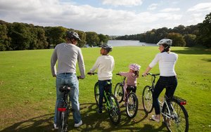 hybrid bikes