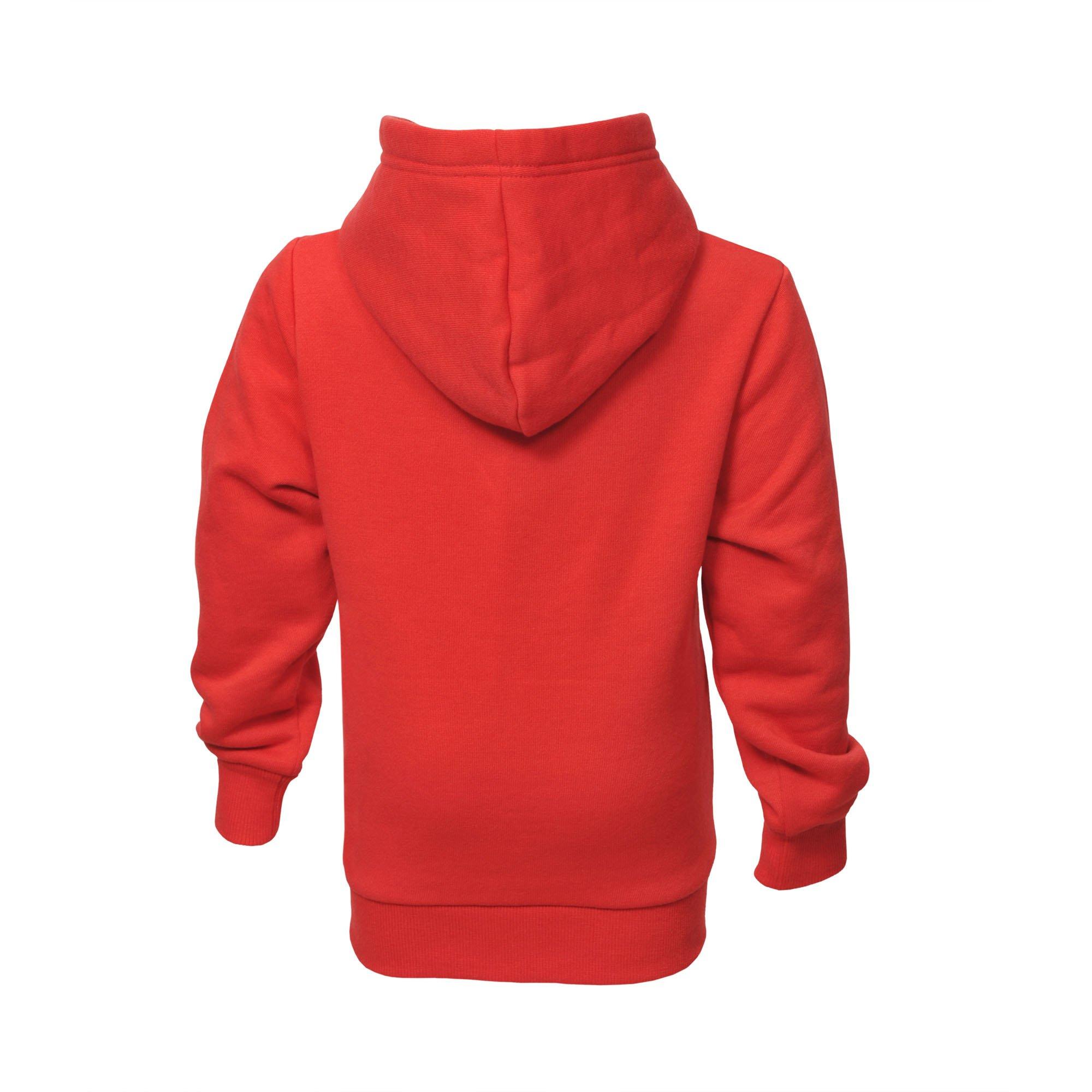 Arsenal Boys Fleece Crest Hoody