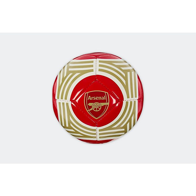 Arsenal 23/24 Mini Fan Ball Size 1