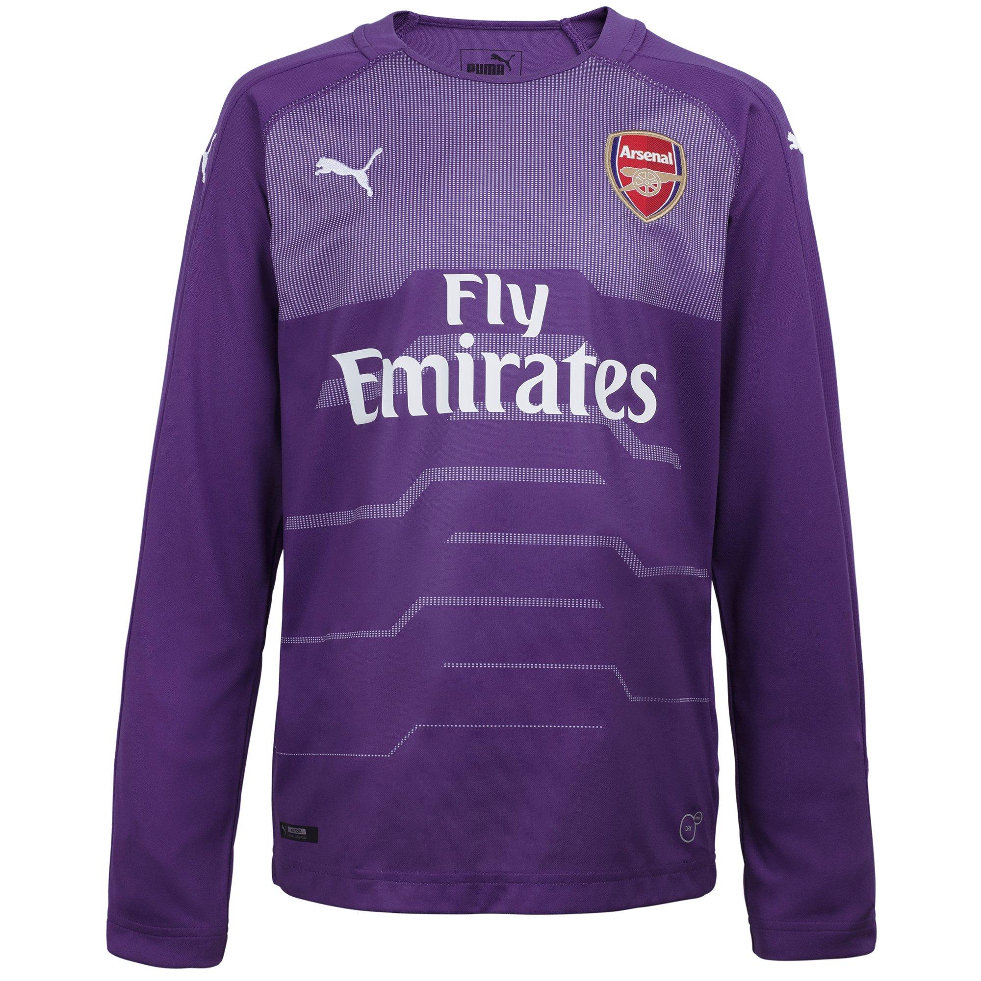 Arsenal Junior 18/19 Purple Goalkeeper 