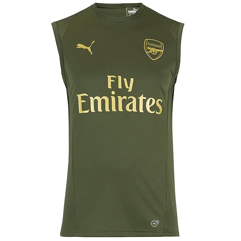 Drejning symbol Ventilere Arsenal 18/19 Green Sleeveless Training Shirt | Official Online Store