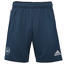 Arsenal 22/23 Blue Training Shorts