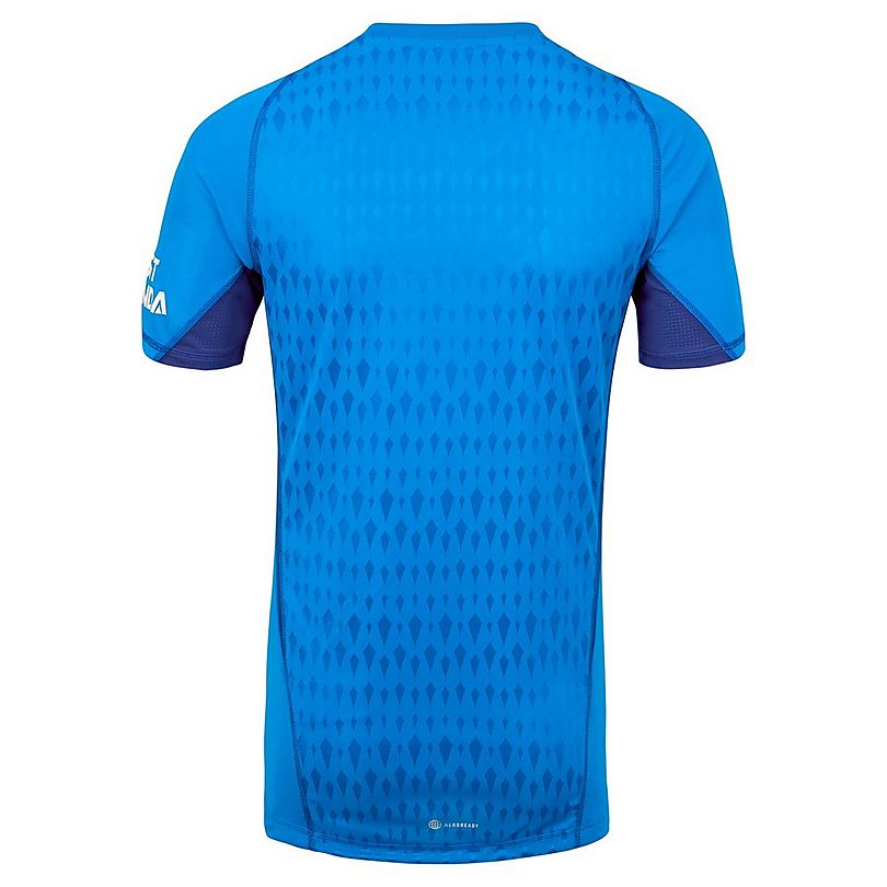 Arsenal 23/24 Blue Goalkeeper Shirt