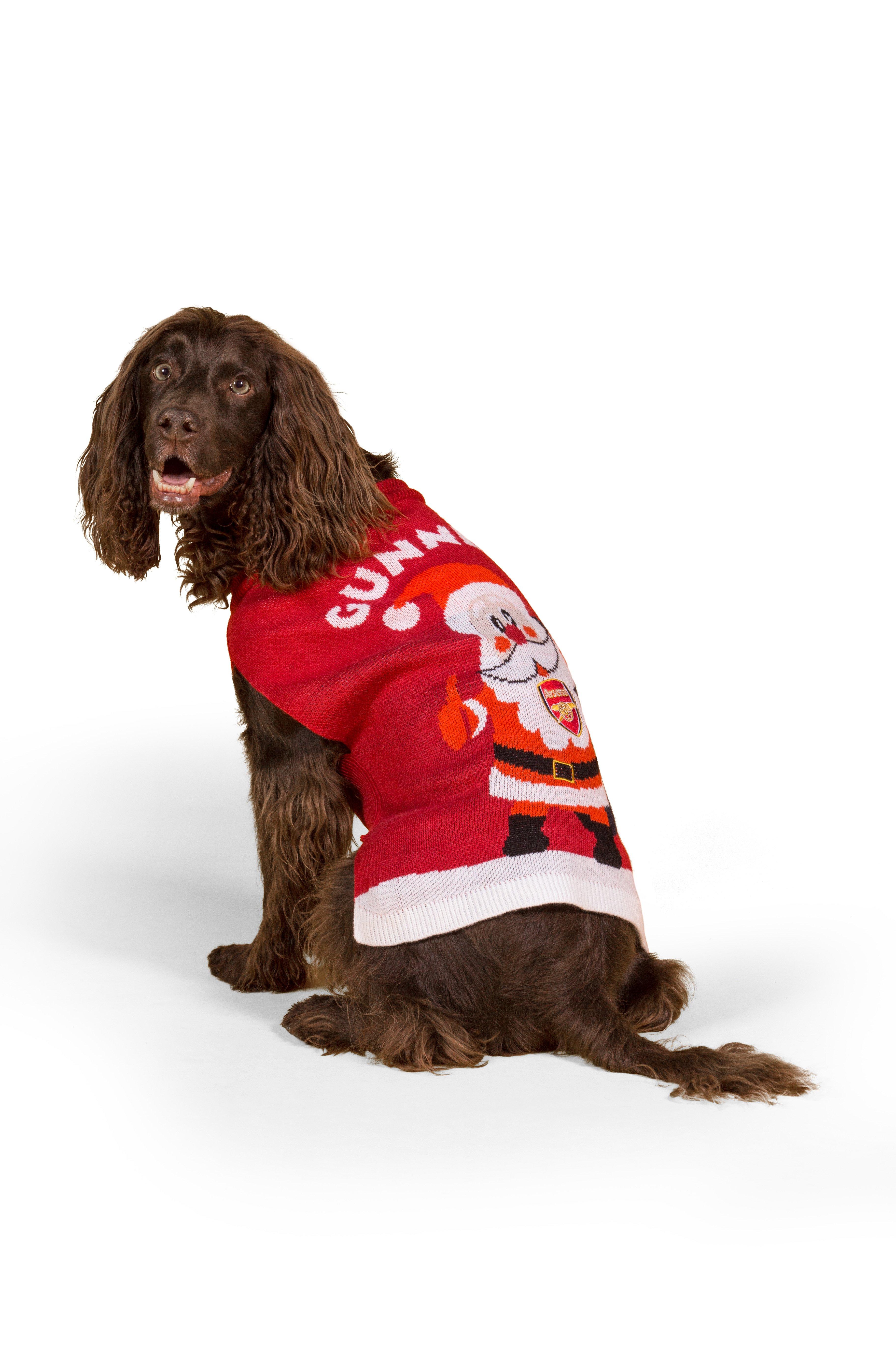 arsenal dog jersey