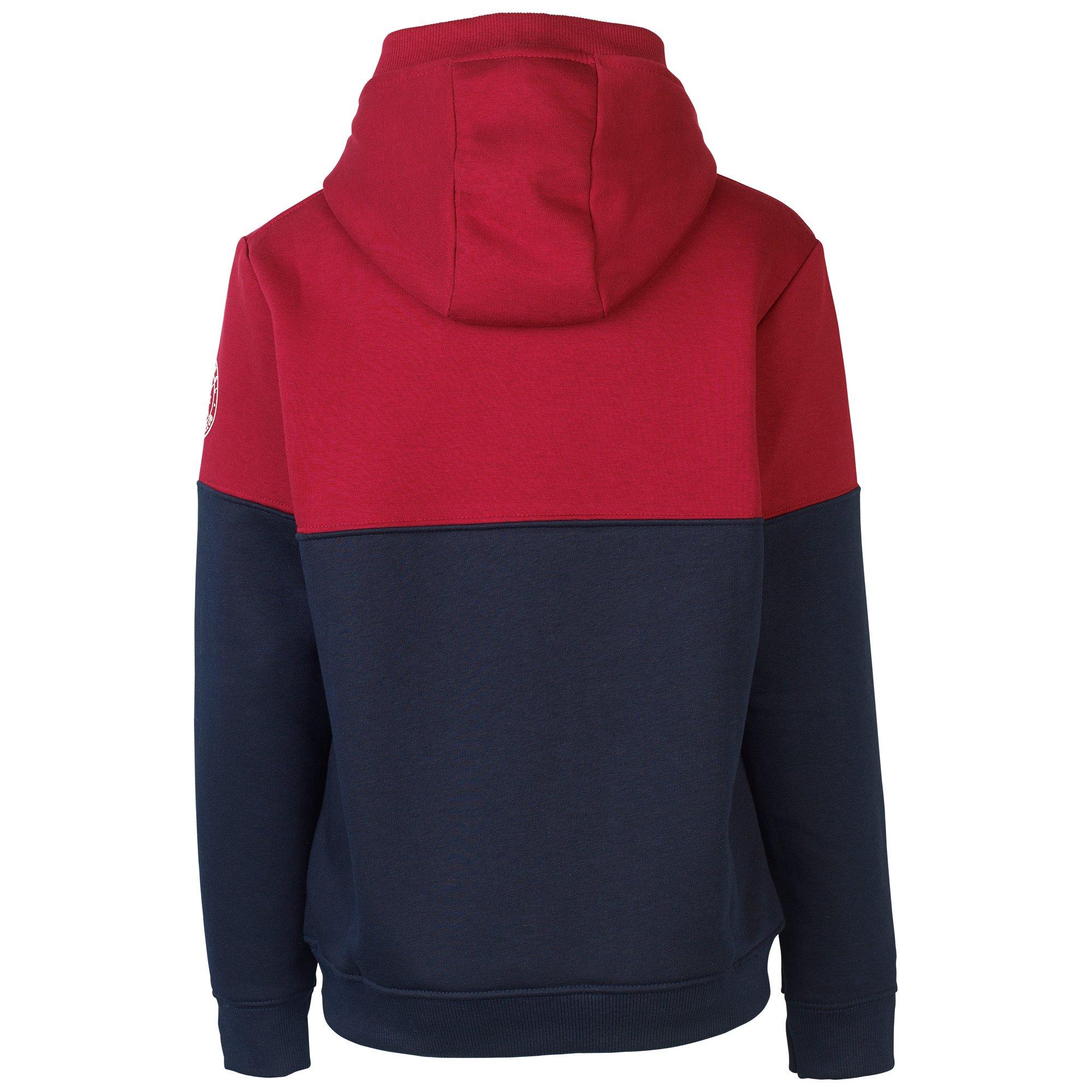 Arsenal Kids Since 1886 Panel Hoodie Official Online Store