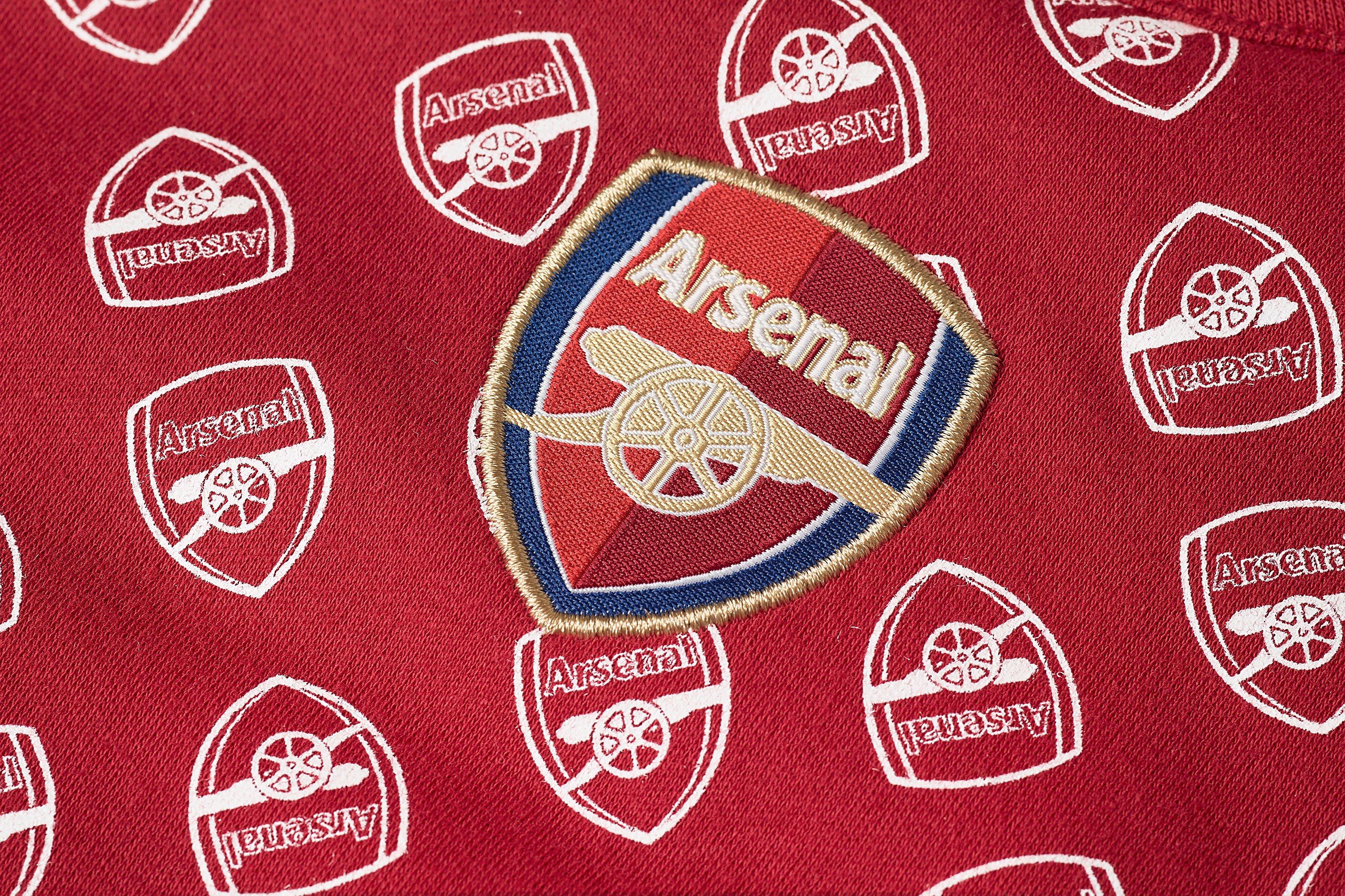 Arsenal best sale baby blanket