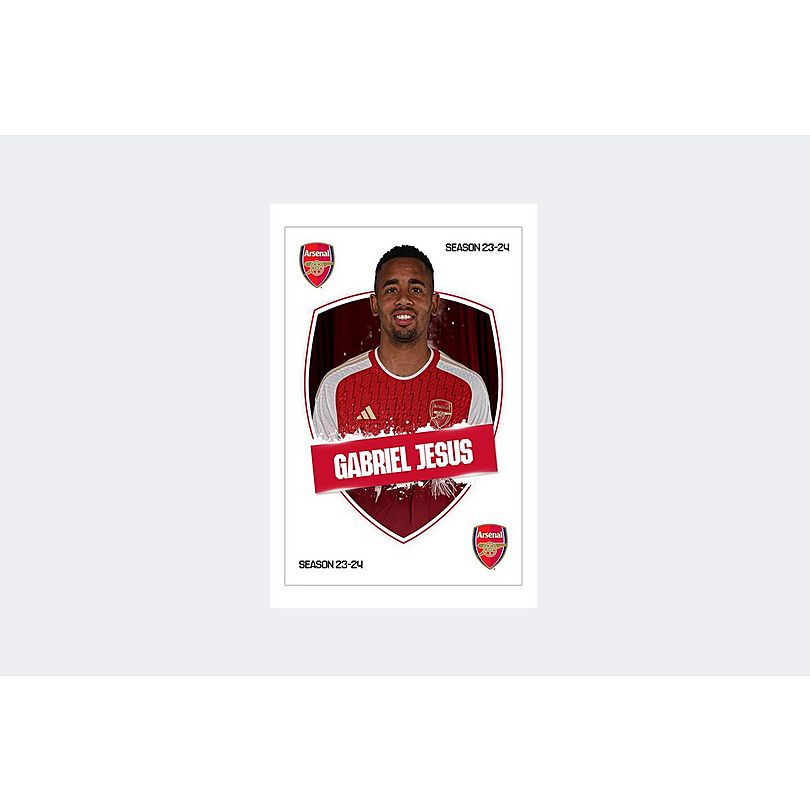 Arsenal 23/24 G.Jesus Headshot