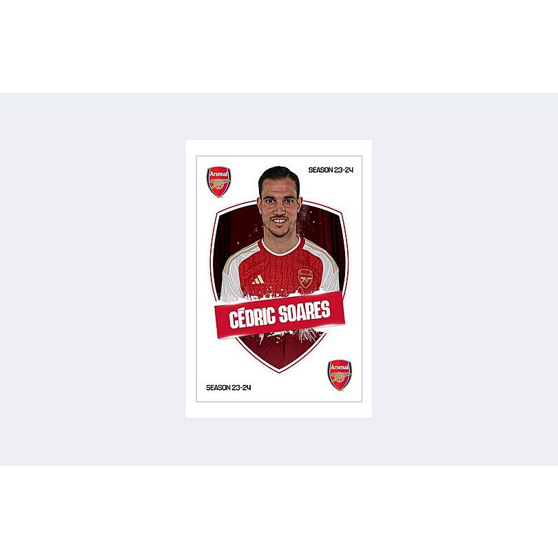 Arsenal 23/24 Cedric Headshot
