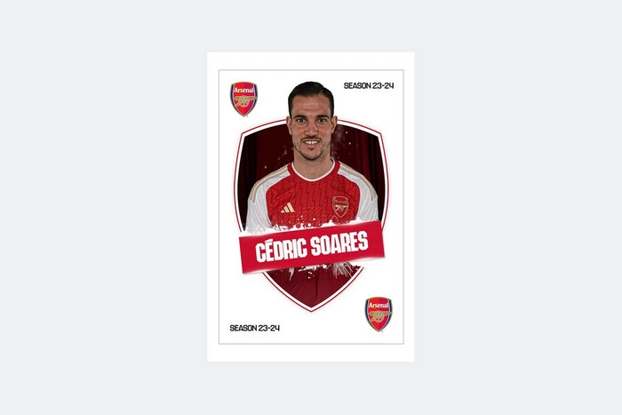 Arsenal 23/24 Cedric Headshot