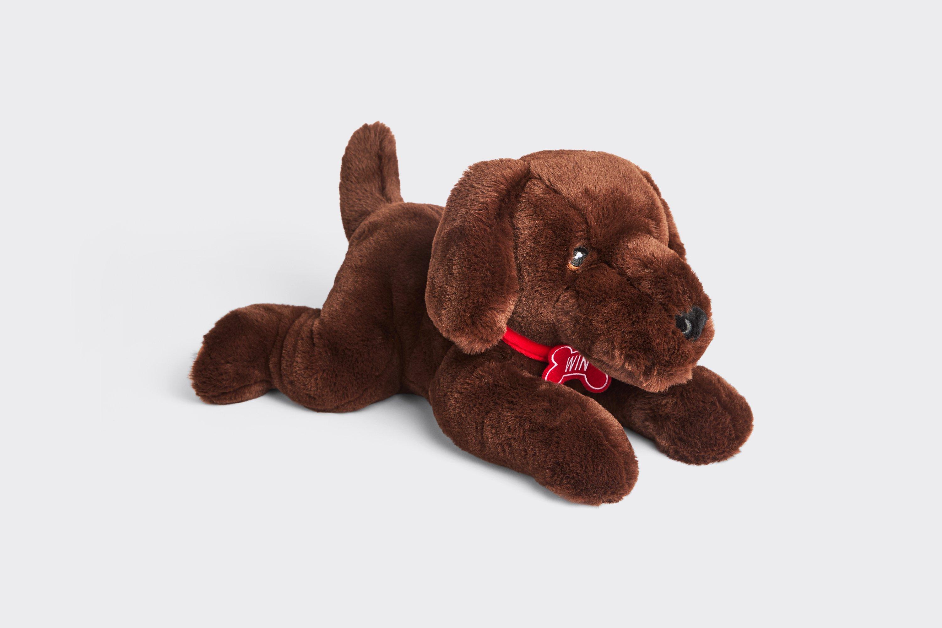 Arsenal Win the Dog Plush Toy