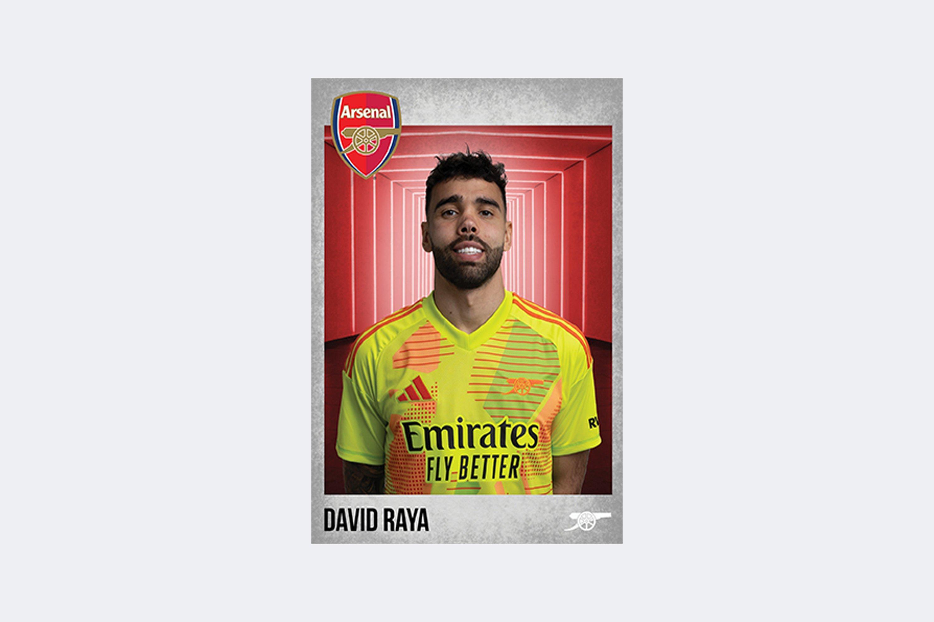 Arsenal 2024/25 Raya Headshot