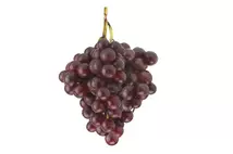 Red / Black Seedless Grapes