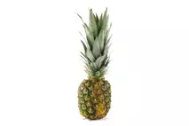 Medium Pineapple
