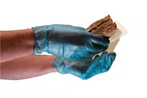 Vinyl Gloves Blue Extra Large Powder Free