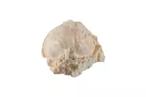 Arran Dairies Scottish Tablet Ice Cream Arran Dairies Scottish Tablet Ice Cream
