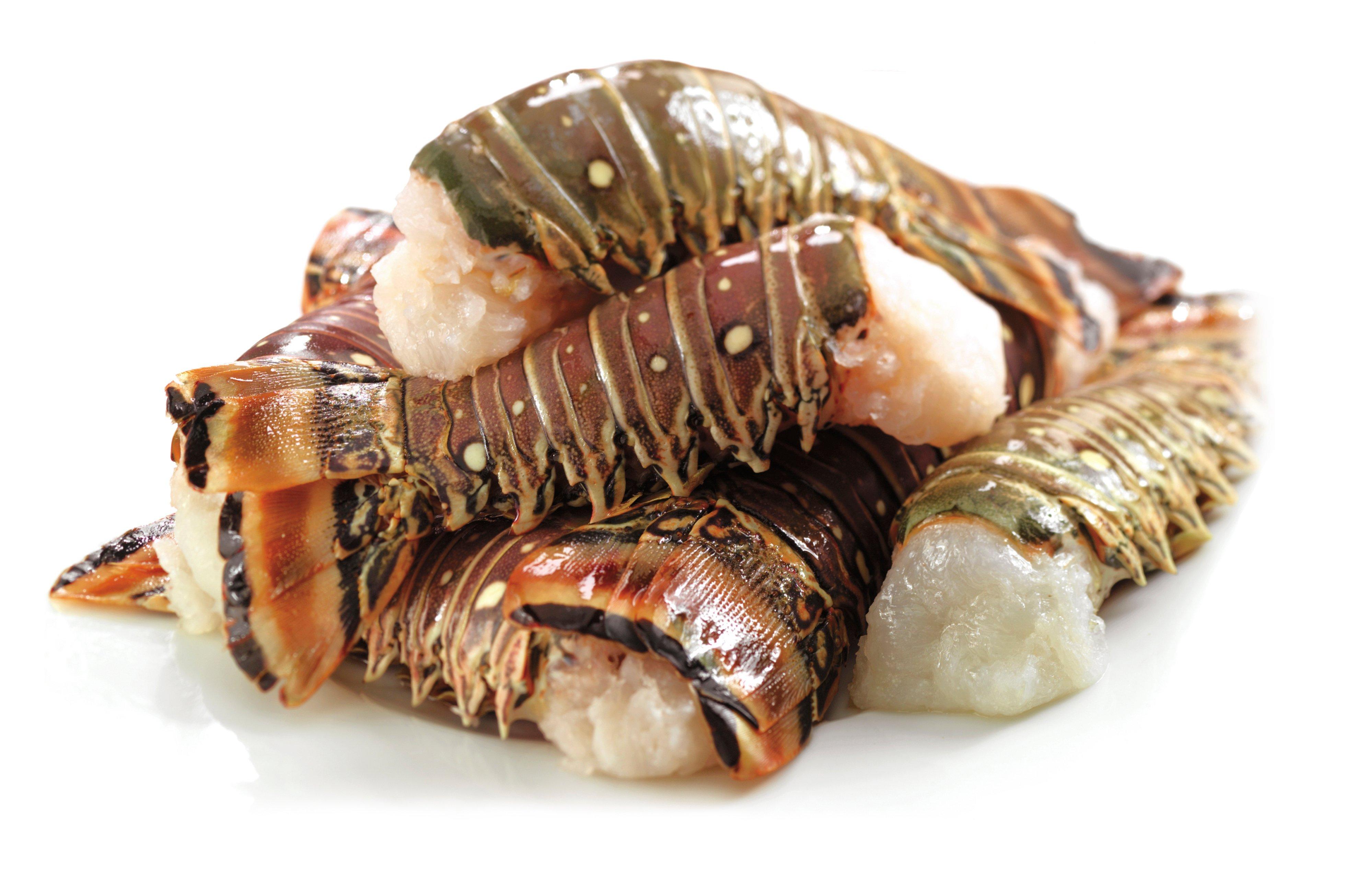 Rock Lobster Tails