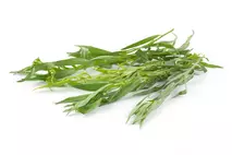 Herb Bunched Tarragon