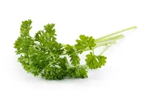 Herb Bunched Curly Leaf Parsley