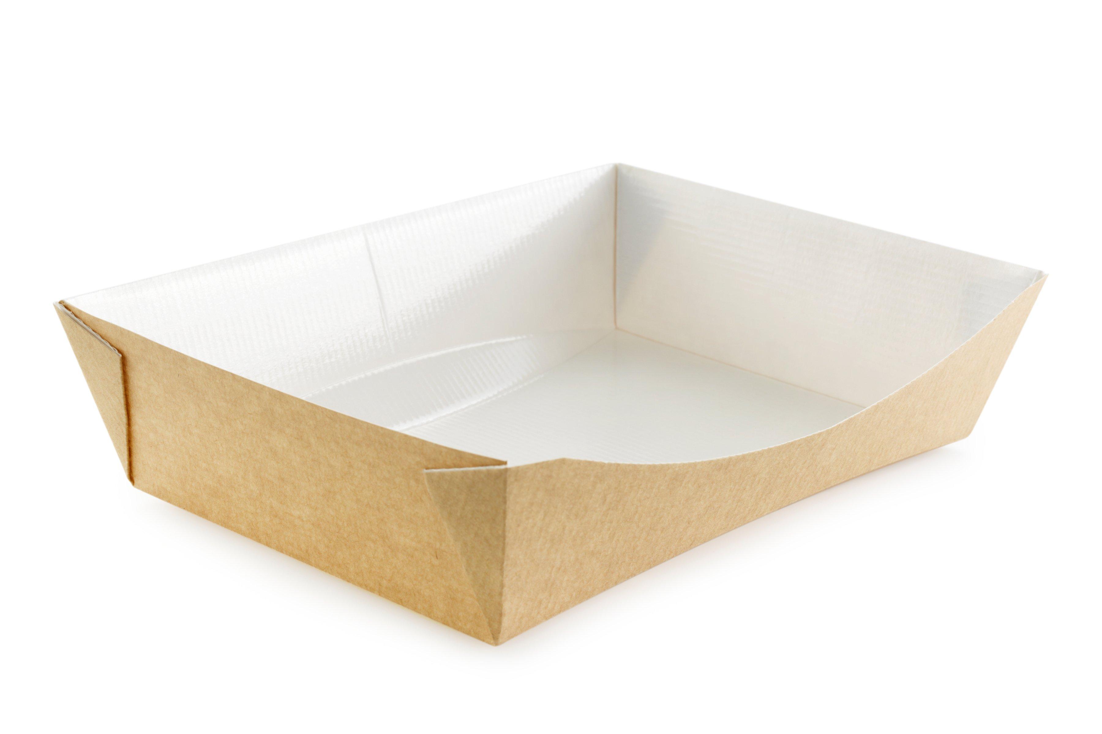 TASTE Large Food to Go Tray     1 x 120