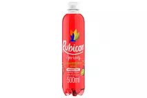Rubicon Spring Strawberry Kiwi Flavoured Sparkling Spring Water, 500ml