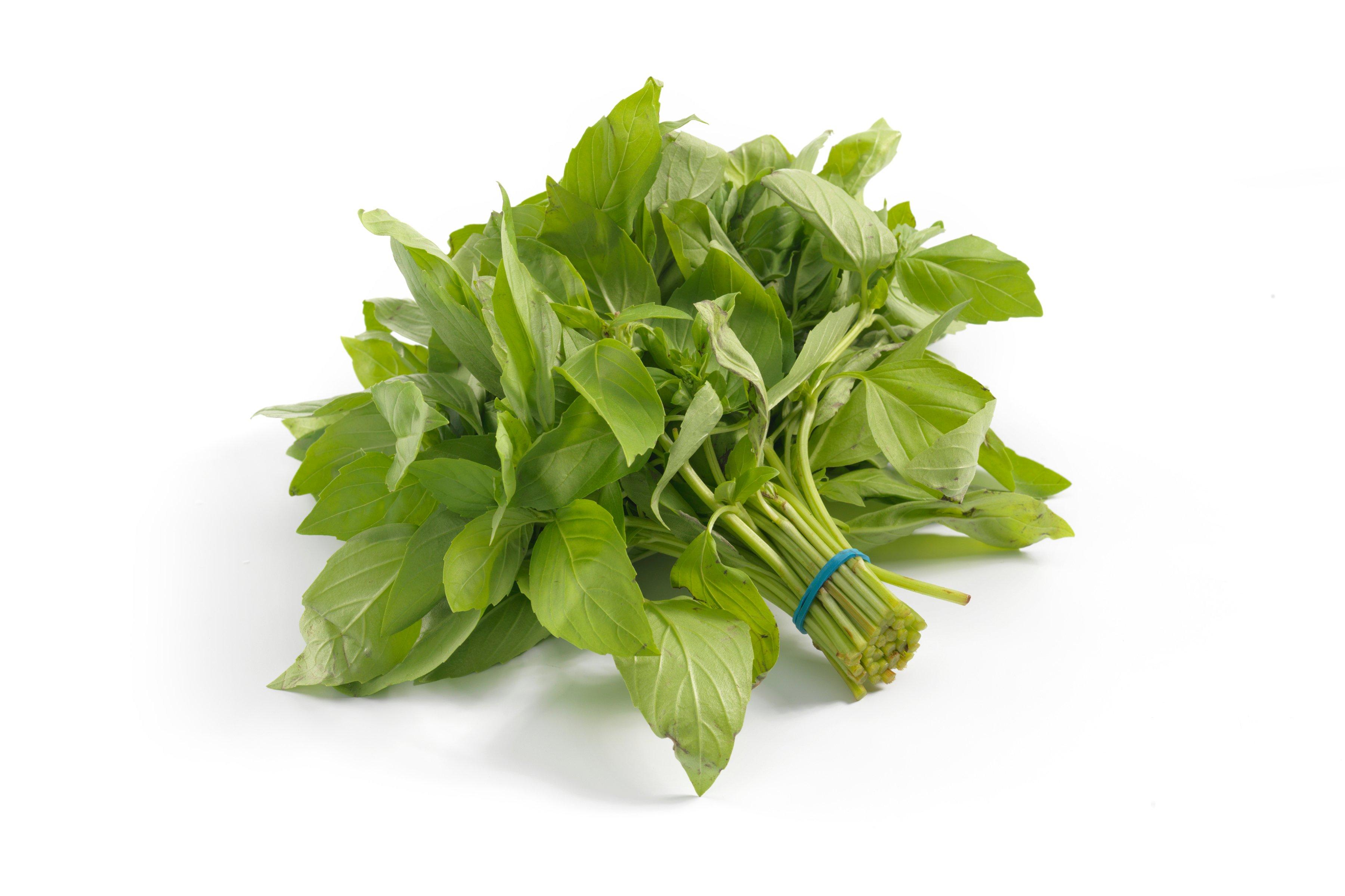 Fresh Basil Wholesale Buy Fresh Basil in Bulk Brakes Foodservice