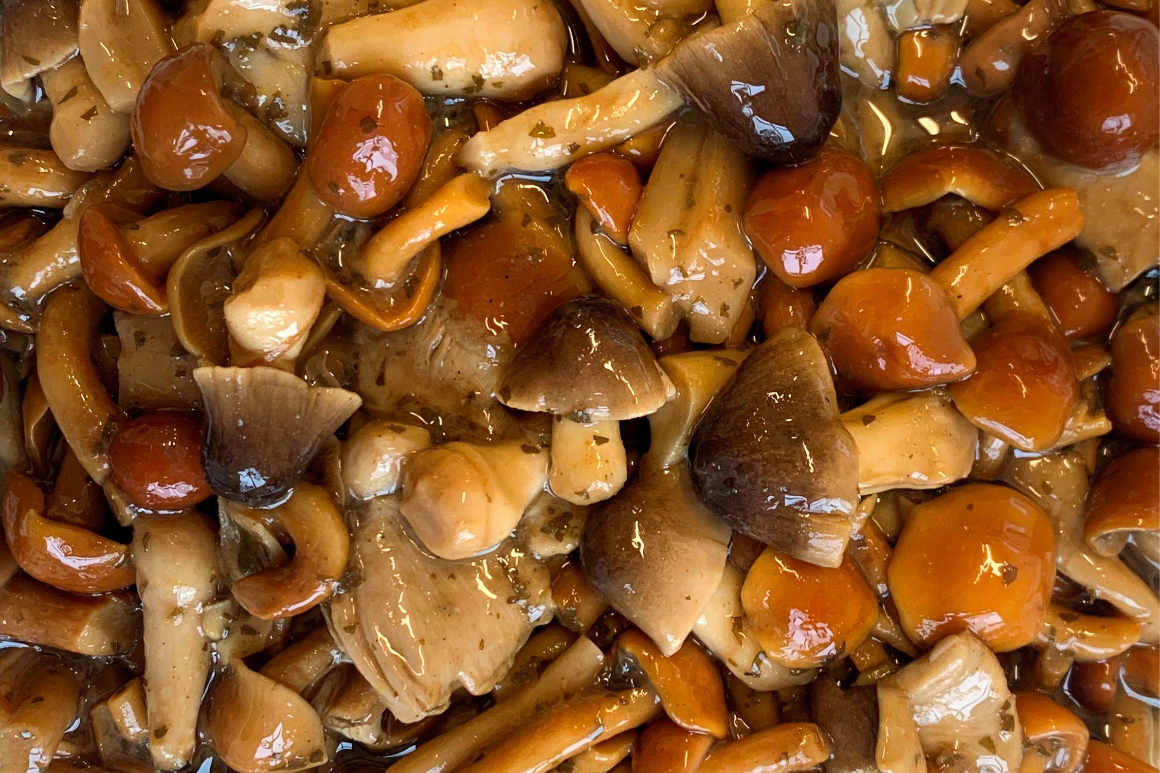 Marinated & Seasoned Exotic Mushroom Mix (800g drained weight)