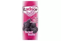 Radnor Fruits Still Forest Fruits 125ml