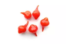 Sweet Red-Drop Peppers