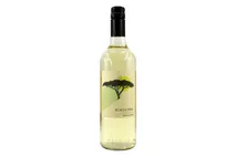 2016 Chenin Blanc, Sangoma, Western Cape, South Africa, 13% 2016 Chenin Blanc, Sangoma, Western Cape, South Africa, 13%