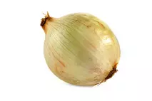 Spanish Onion Extra Large 120mm