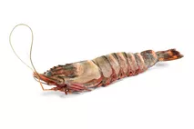 Banarly Black Tiger Prawn (head on / shell on) 6-8/kg Banarly Black Tiger Prawn (head on / shell on) 6-8/kg