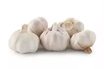 Garlic Loose